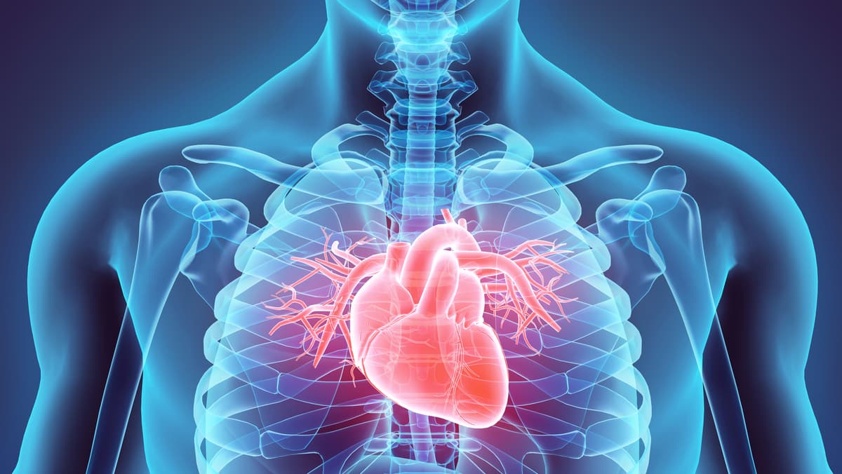 Mitos sobre o coração: cardiologista esclarece dúvidas que ainda confundem a população